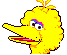 Big Bird