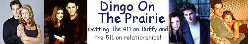 dingo on the prairie