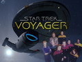 wolf_voyager.jpg