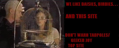 Don't Warn the Tadpoles/Geeker Joy Top Site