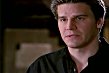 Angel understands Buffy is hurt