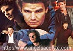 Angel - David Boreanaz