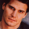 David Boreanaz is Angel