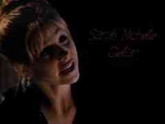 Buffy the Vampire Slayer Wallpaper