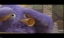 PDVD_596.jpg