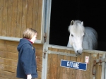 Reby chez les poneys - Gitane