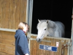 Reby chez les poneys - Gitane