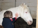 Reby chez les poneys - Asterix