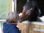 Reby chez les poneys