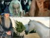 gandalf3.jpg