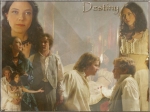 Angel S5 - Destiny *Yellow*