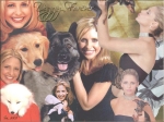 Sarah Michelle Gellar, With Thor