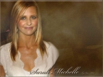 Sarah Michelle Gellar Hollywood Reporter's Awards IV