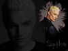 spike_bymixia_1024x768.jpg