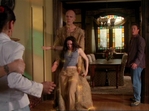 Charmed421_417.jpg