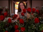 Charmed508_196.jpg