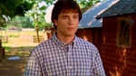 smallville201_266.jpg