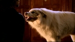 smallville210_590.jpg