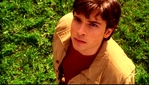 smallville222_267.jpg