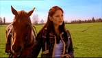 smallville222_271.jpg