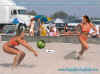 beachvolleyball.jpeg (79650 bytes)